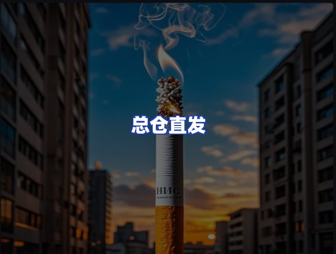 专业团队